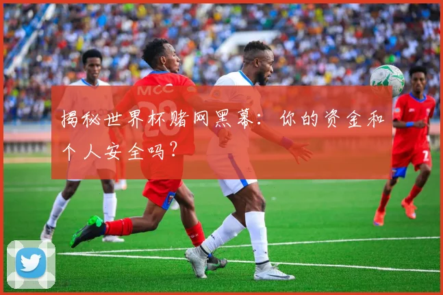 揭秘世界杯赌网黑幕：你的资金和个人安全吗？