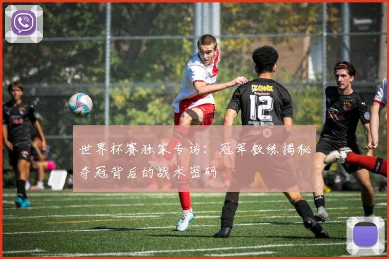 世界杯赛独家专访：冠军教练揭秘夺冠背后的战术密码