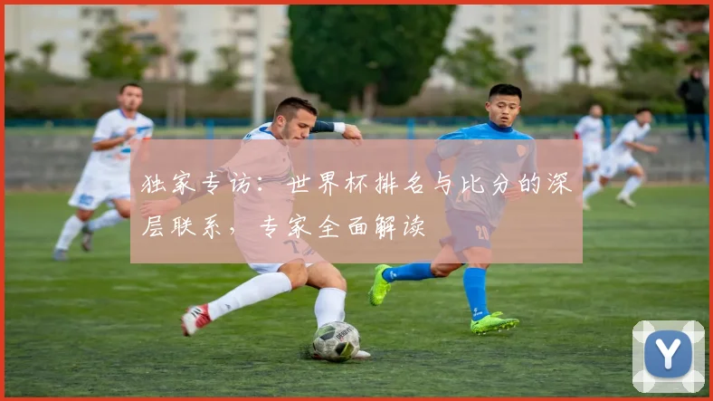 独家专访：世界杯排名与比分的深层联系，专家全面解读