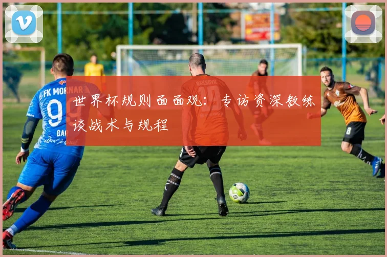 世界杯规则面面观：专访资深教练谈战术与规程