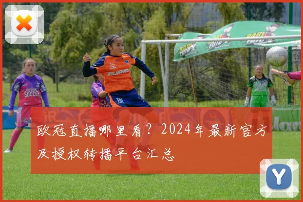 欧冠直播哪里看？2024年最新官方及授权转播平台汇总
