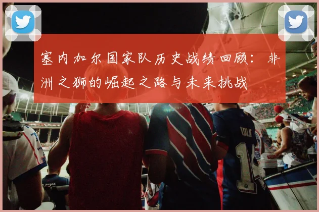 塞内加尔国家队历史战绩回顾：非洲之狮的崛起之路与未来挑战