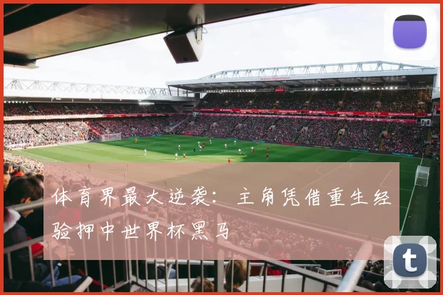 体育界最大逆袭：主角凭借重生经验押中世界杯黑马