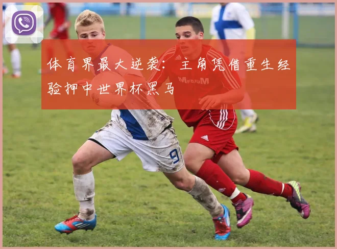 体育界最大逆袭：主角凭借重生经验押中世界杯黑马