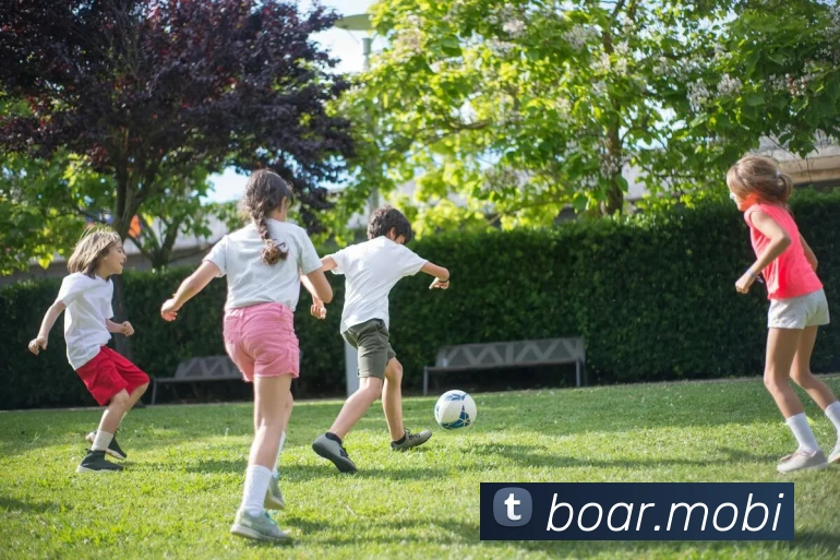 多媒体互动体验